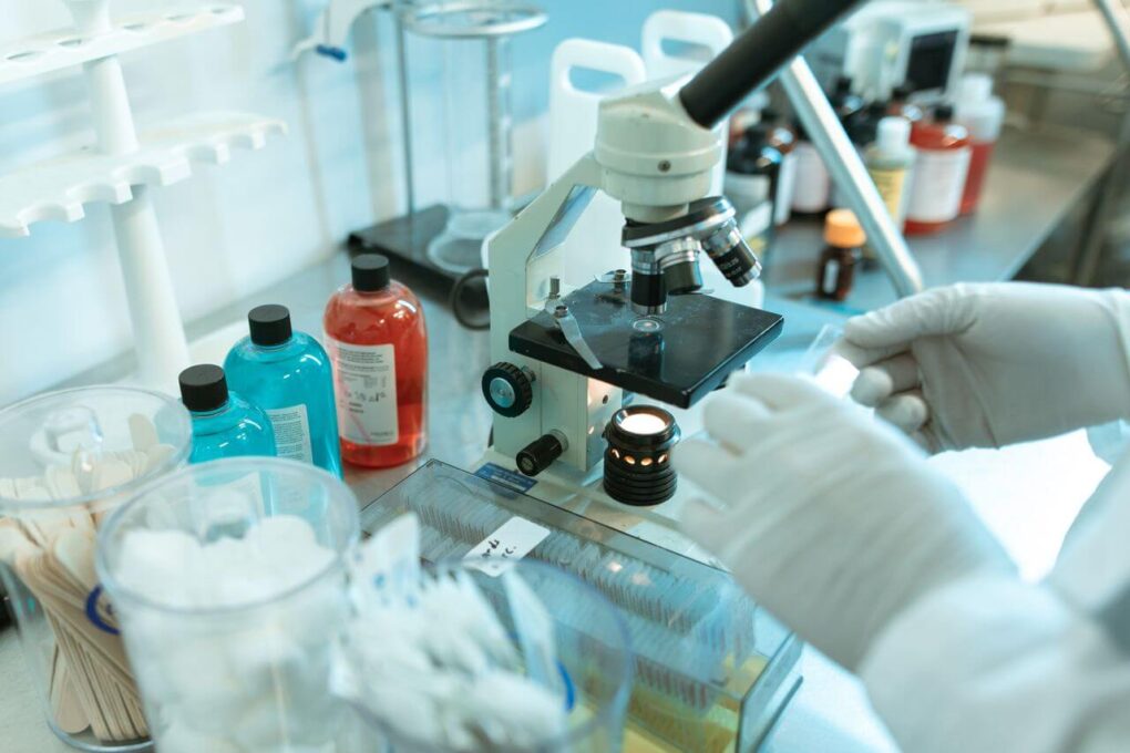 Dr. Lisa Porter’s Research Journey: Leadership, Mentorship, and Advancing Cancer Research